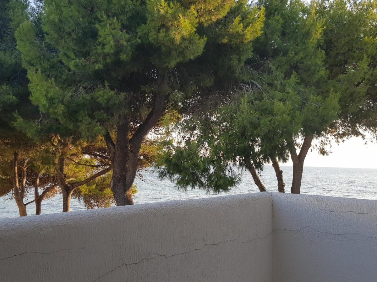 Appartamento La Caletta Gallipoli Zewnętrze zdjęcie